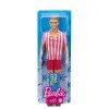 BARBİE GRB41/GRB42