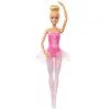 BARBİE GJL58/GJL59