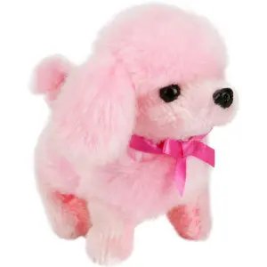 Sevimli Köpek Poodle