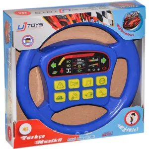 Kutulu Pilli Direksiyon