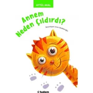 Annem Neden Çıldırdı?