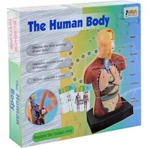 İnsan Vücudu Eğitim Seti