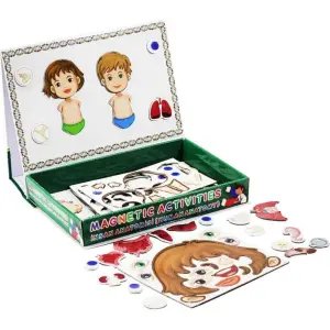 İnsan Anatomisi Manyetik Aktivite Seti 58 Parça