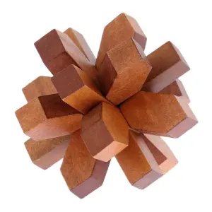 Great Minds Halley's Comet Puzzle