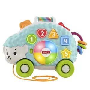 Fisher Price Linkimals Sevimli Gezgin Kirpi GJB12